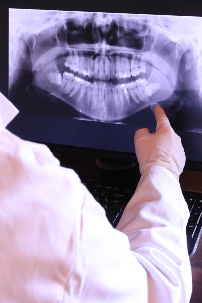 Best Emergency X-Rays and Diagnostics in Bloomfield, IA
